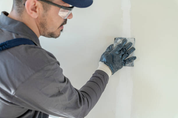 Best Fire-Damaged Drywall Repair  in Hanover, PA